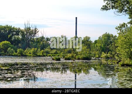 Naturgebiet mit mehreren Seen entlang der Sava in Kroatien mit Industriekamin im Hintergrund Stockfoto