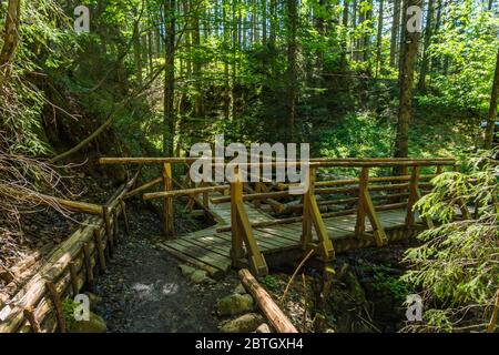 Durch das schöne Ostertaltobel im Gunzesriedtal im Allgau bei Blaichach, Sonthofen Stockfoto