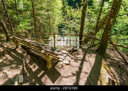 Durch das schöne Ostertaltobel im Gunzesriedtal im Allgau bei Blaichach, Sonthofen Stockfoto