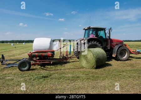Frisch geerntetes Heu wird gerollt und automatisch von einem Traktor in weißen Kunststoff eingewickelt. Im Sommer auf einem Feld im ländlichen Lithiania. Stockfoto