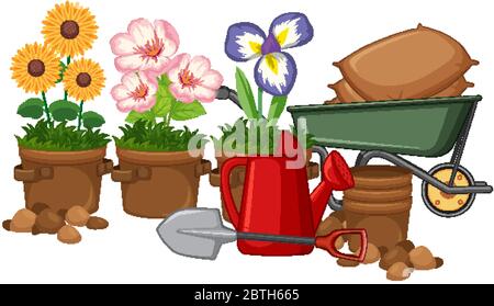Schöne Blumen im Garten auf weißem Hintergrund Illustration Stock Vektor