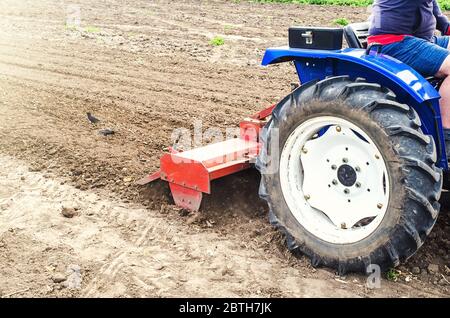 Traktor mit Fräsmaschine löst, mahlt und mischt Erde. Ausrüstung für die Anbautechnologie. Lockern der Oberfläche, kultivieren das Land für weitere Stockfoto