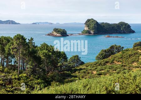 Stingray Bay mit Motueka Island und seinem kleineren Nachbarn Poikeke Island, in der Nähe von Hahei, Waikato, Nordinsel, Neuseeland Stockfoto