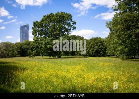 Blick vom Rheinauland auf den Postturm, Sitz des Logistikunternehmens Deutsche Post DHL Group, Bonn, Nordrhein-Westfalen Stockfoto