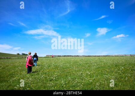 Bordley, North Yorkshire / UK - Mai 25 2020: Wanderer folgen einem Wanderweg über eine Frühlingswiese unter blauem Himmel im Yorkshire Dales National Park Stockfoto