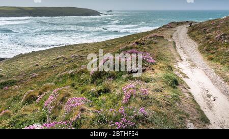 Ein Panoramablick auf die Flut am Crantock Beach vom Pitre Point East in Newquay in Cornwall. Stockfoto