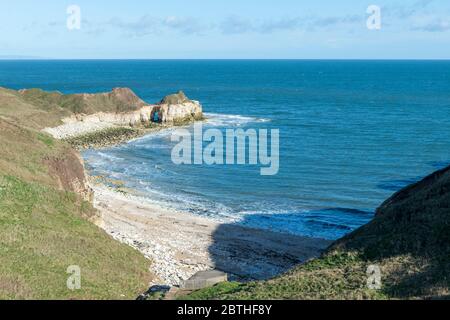 Weiße Kreidefelsen um einen kleinen Strand und eine Bucht in Flamborough Head, East Yorkshire Stockfoto