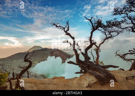 Ijen Vulkan Krater mit saurem See und toten Bäumen bei Sonnenaufgang. Java-Insel, Indonesien Stockfoto