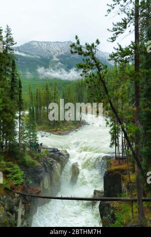 Sunwapta Falls im Herbst, Jasper National Park, Alberta, Kanada Stockfoto