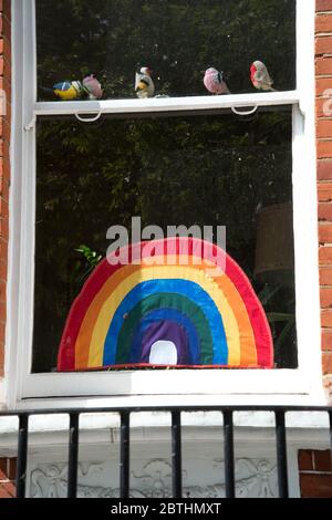 London Mai 2020 die Covid-19-Pandemie. Parkholme Road. Regenbogen in einem Fenster zur Unterstützung von NHS mit gestrickten Spielzeugvögeln. Stockfoto