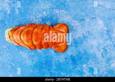 Teurer gekochter atlantischer Hummer auf blauem Hintergrund. Stockfoto