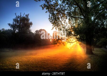 Schöne Sonnenbräunliches im Vondelpark in Amsterdam, Niederlande Stockfoto