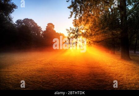 Schöne Sonnenbräunliches im Vondelpark in Amsterdam, Niederlande Stockfoto