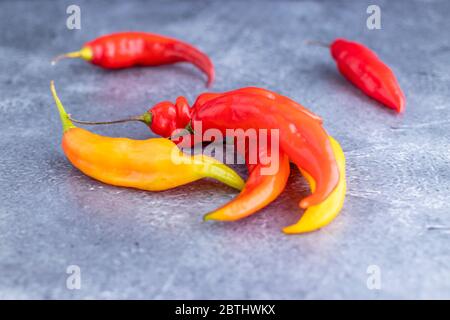 Präsentation von peruanischen scharfroten Chilischoten (Aji Limo) Stockfoto