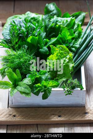 Eine Vielzahl von würzigen Kräutern, Salat und grünen Zwiebeln auf einem hölzernen Hintergrund. Rustikaler Stil. Stockfoto
