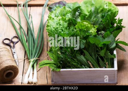 Eine Vielzahl von würzigen Kräutern, Salat und grünen Zwiebeln auf einem hölzernen Hintergrund. Rustikaler Stil. Stockfoto