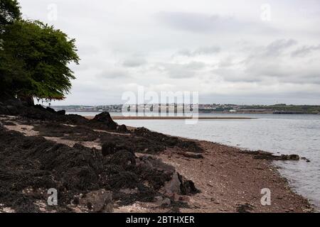 Milford Haven von Pwllchrochan Flats. Stockfoto