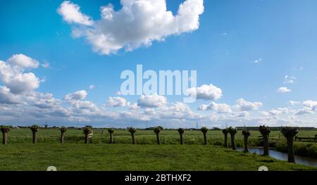 HOLLÄNDISCHES LANDHAUS AUSSEN INNEN Stockfoto