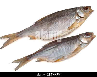 Getrockneter gesalzener Pachierfisch auf weißem Hintergrund Stockfoto