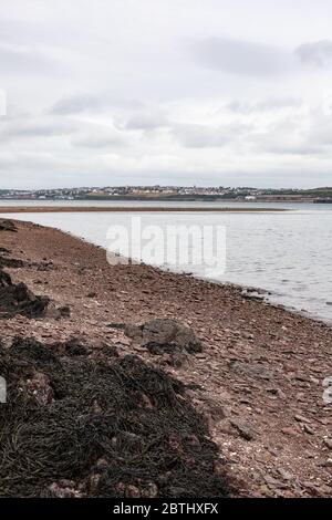 Milford Haven von Pwllchrochan Flats. Stockfoto