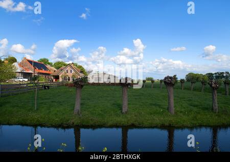 HOLLÄNDISCHES LANDHAUS AUSSEN INNEN Stockfoto