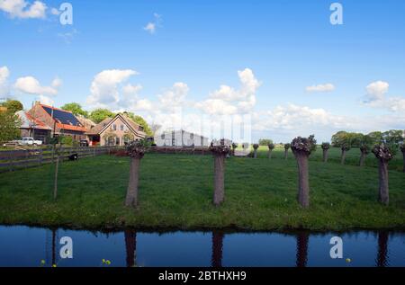 HOLLÄNDISCHES LANDHAUS AUSSEN INNEN Stockfoto