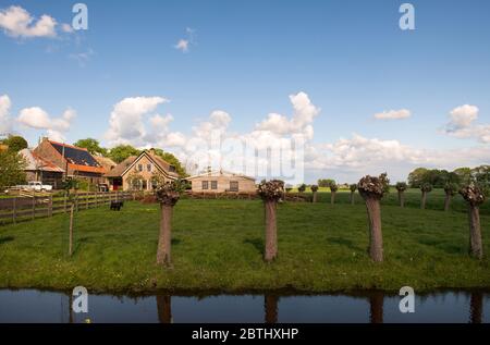 HOLLÄNDISCHES LANDHAUS AUSSEN INNEN Stockfoto