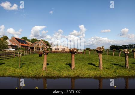 HOLLÄNDISCHES LANDHAUS AUSSEN INNEN Stockfoto