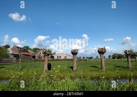 HOLLÄNDISCHES LANDHAUS AUSSEN INNEN Stockfoto