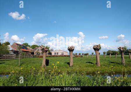 HOLLÄNDISCHES LANDHAUS AUSSEN INNEN Stockfoto