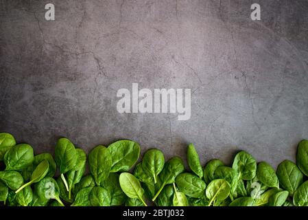 Rohe frische Baby Spinat Blätter in Schüssel auf grauem Hintergrund. Rahmen aus Spinat Hintergrund. Draufsicht gesunde Blatt Gemüse Lebensmittel auf dunklem Tisch Stockfoto