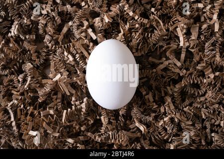 Ein weißes Hühnereier im Nest Stockfoto