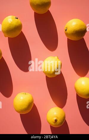 Komposition mit Zitronen auf rosa Hintergrund in natürlichem Sonnenlicht mit harten Schatten, Stockfoto