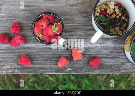 Frisch gepflückte Himbeeren und verschiedene Johannisbeeren in alten Tassen auf einer Holzbank Stockfoto