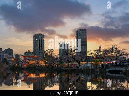 tokio, japan - märz 30 2020: Blick auf den Sonnenuntergang über Kirschblüten, die sich im Teich des Kaneiji-Tempels mit dem beleuchteten achteckigen Shinobazunoik spiegeln Stockfoto