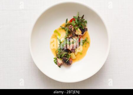 Gedünsteter Oktopus in Weinsauce mit Rucola Stockfoto