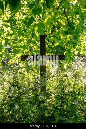 Holzkreuz mit Grabzeichen auf dem Brompton Cemetery, Kensington, London; ein 'Garten'-Friedhof mit 205000 Einbeinen und 35000 Gräbern. Stockfoto