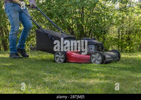 Alte rote Schiebe Rasenmäher Schneiden Gras in blauen Jeans sonnigen schattigen Frühlingstag Stockfoto