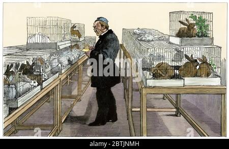 Louis Pasteur entwickelt Tollwut-Impfstoff in seinem Labor an der Ecole normale, Paris. Handkolorierter Holzschnitt Stockfoto