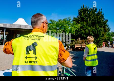 Ein Mitarbeiter, der eine Weste mit einer sozialen Distanzierungssage im Zoo trägt.die Diergaarde Blijdorp (Zoo Rotterdam) wird in Phasen wieder geöffnet, zunächst für Dauerkarte-Inhaber, dann für Tagesbesucher. Der Zoo führt Fahrtrichtungstests mit implementierten Coronavirus-Maßnahmen an Mitarbeitern und deren Familienangehörigen durch. Stockfoto