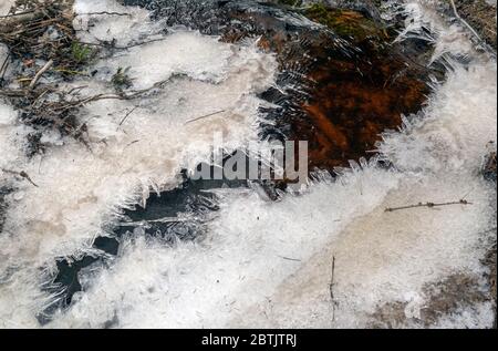 Dünnes Eis auf einem Bach im Wald im frühen Frühjahr. Wsewoloschsk. Leningrad Stockfoto