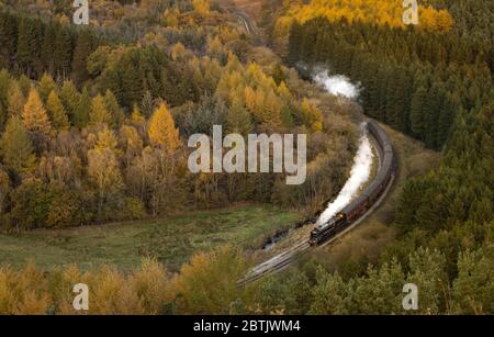 Ein Dampfzug, der auf der North Yorkshire Moors Railway (in der Nähe von Pickering) durch einige sehr herbstliche Postkartenbilder fährt Stockfoto