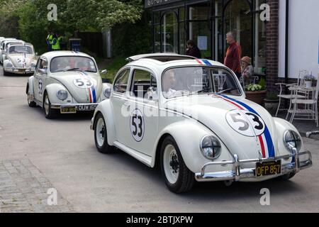 Feier von Herbie, Volkswagen Beetle Stockfoto