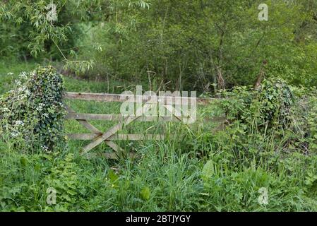 Fünf Holzbarren Tor in überwucherten Feld. Stockfoto