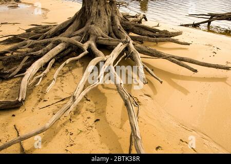 Das Wasser des Wasserreservoirs Südafrika Stockfoto