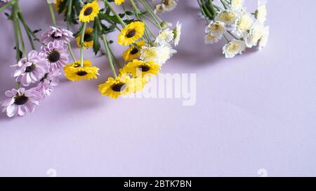 Verschiedene kleine zarte Blüten auf sanftem Hintergrund mit Platz für Text oder Nachricht. Frühlingskonzept. Grußfoto Stockfoto