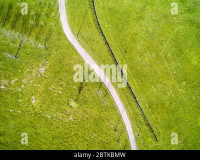 Geschwungener Fußgänger- und Radweg im grünen Sommerpark. Draufsicht Stockfoto