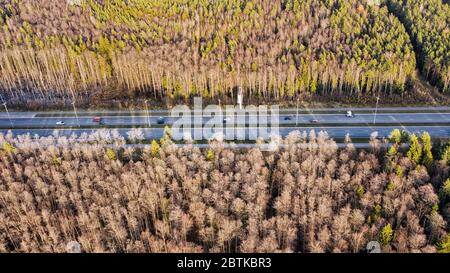 Gerade Autobahn durch tiefen Wald Luftaufnahme. Helle Sommer Bild an einem sonnigen Tag Stockfoto
