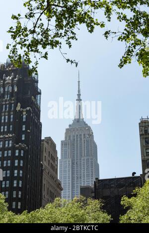 Empire State Building durch die Bäume der Bryant Park, New York USA Stockfoto