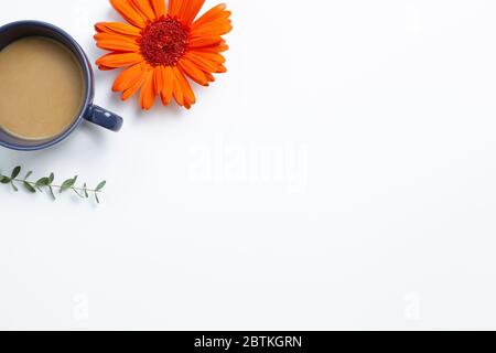 Tasse Kaffee mit orange Gerbera Gänseblümchen und Eukalyptusblatt auf weißem Hintergrund. Flach legen, Draufsicht, kopieren Raum Stockfoto